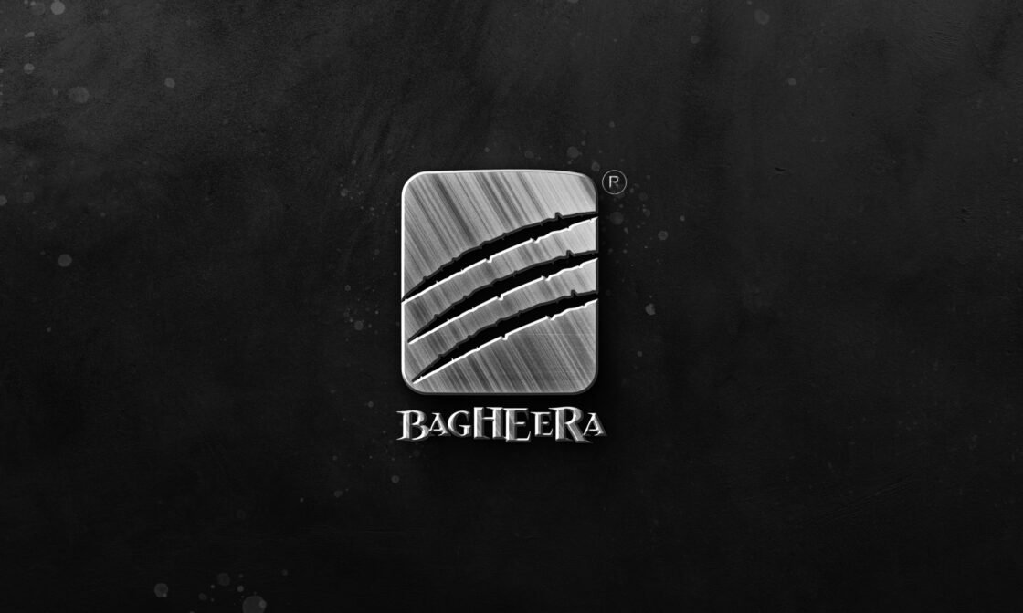 Logo & Branding for Bagheera